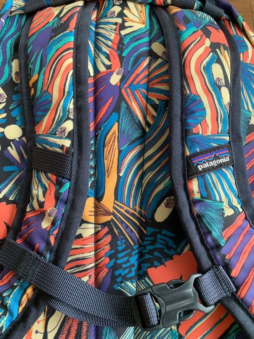【ほぼ新品】リュック パタゴニア　Patagonia キッズ　12L