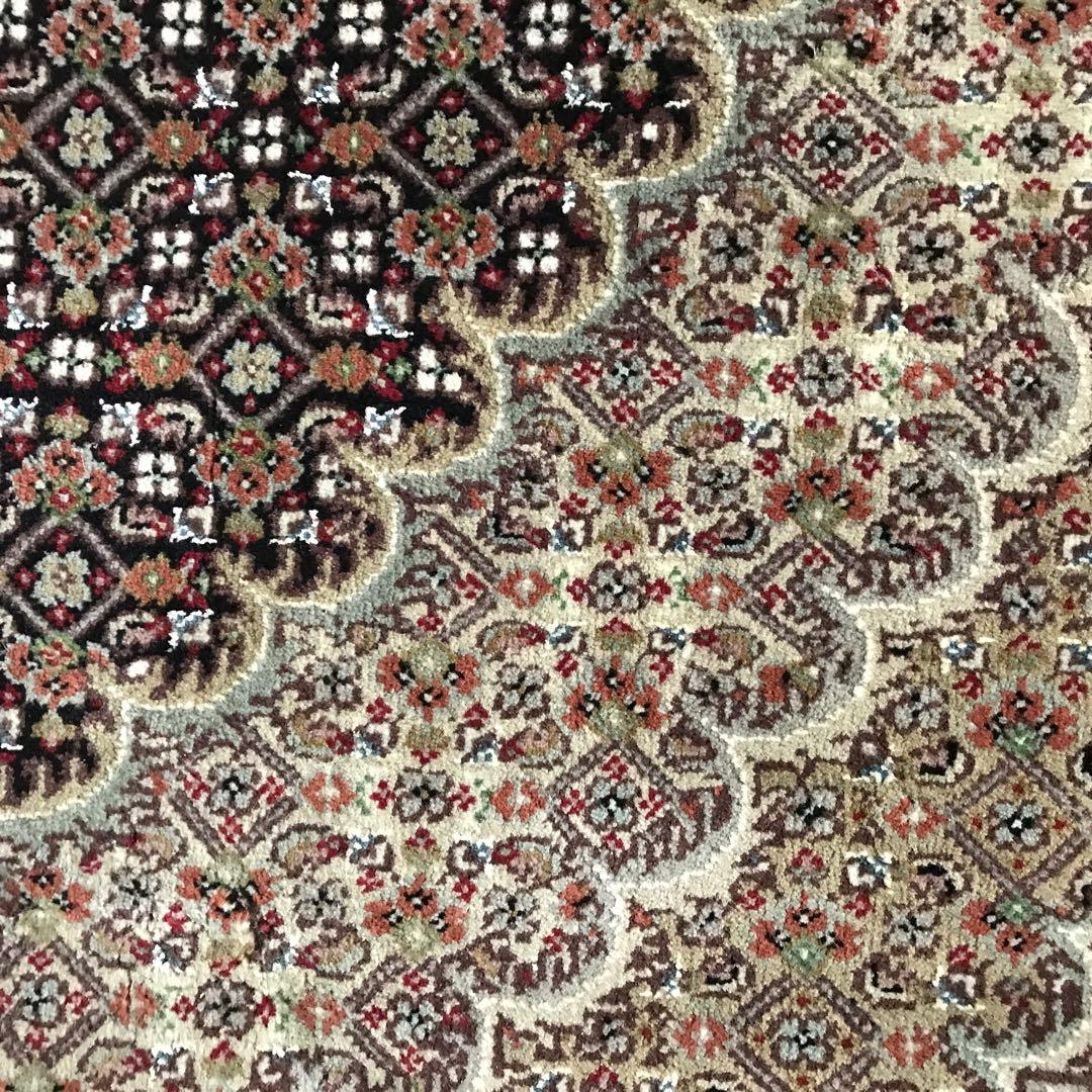 マヒ柄 希少品 ペルシャ絨毯柄 ラグ ラグマット 絨毯 153x222cm