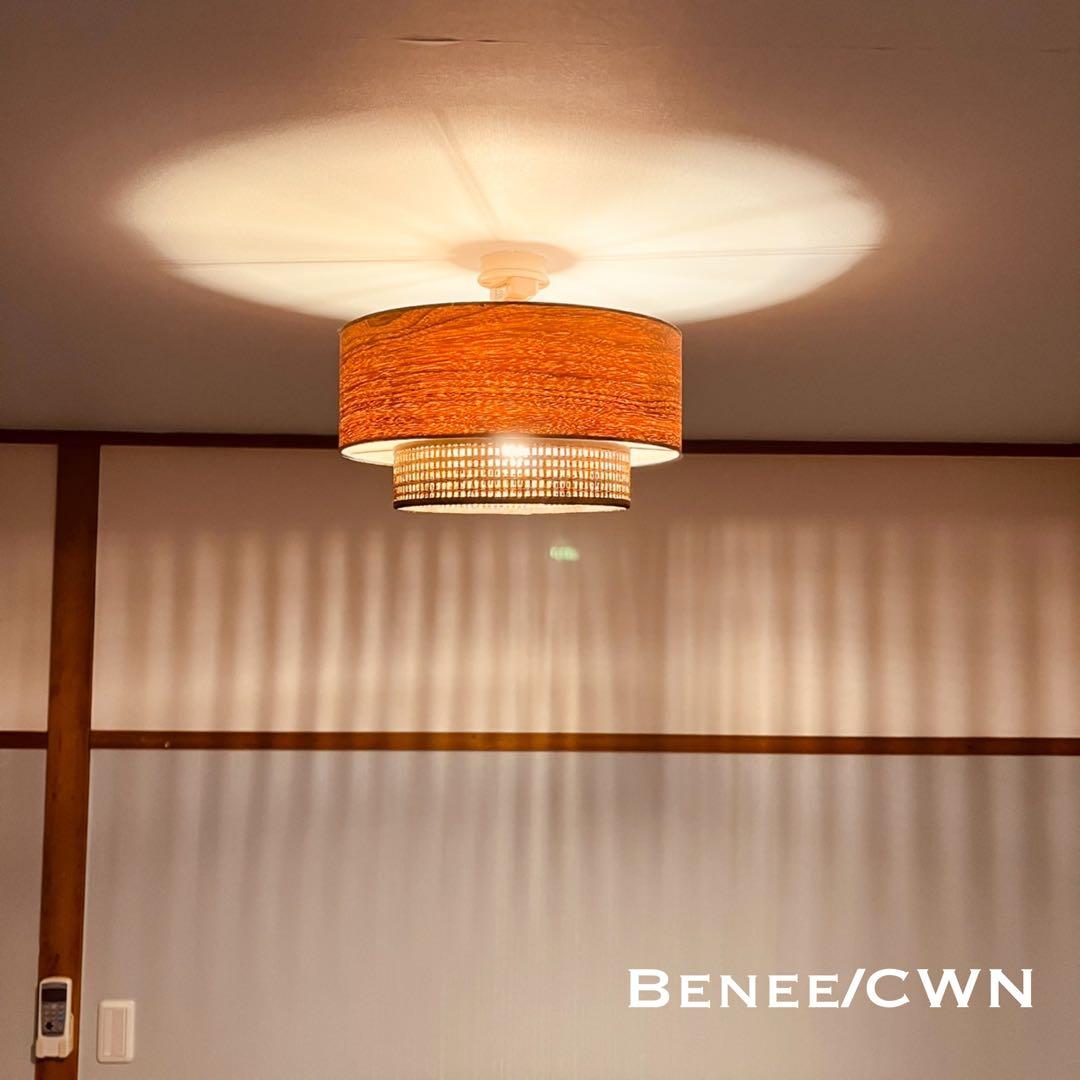 天井照明 シーリングライト Benee/CWN E26 LED レトロ 北欧