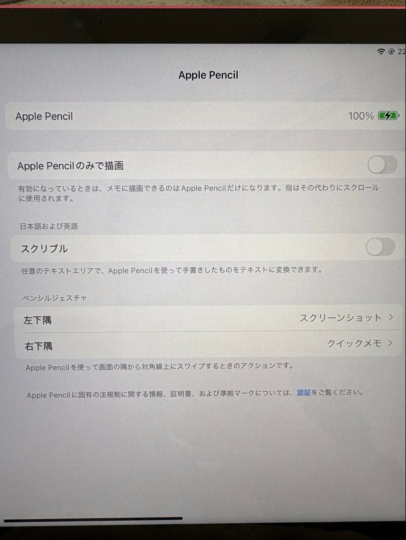 【美品】Apple Pencil (USB-C) 純正