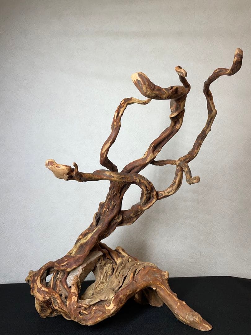 天然木　流木　オブジェ　インテリア　ZB03