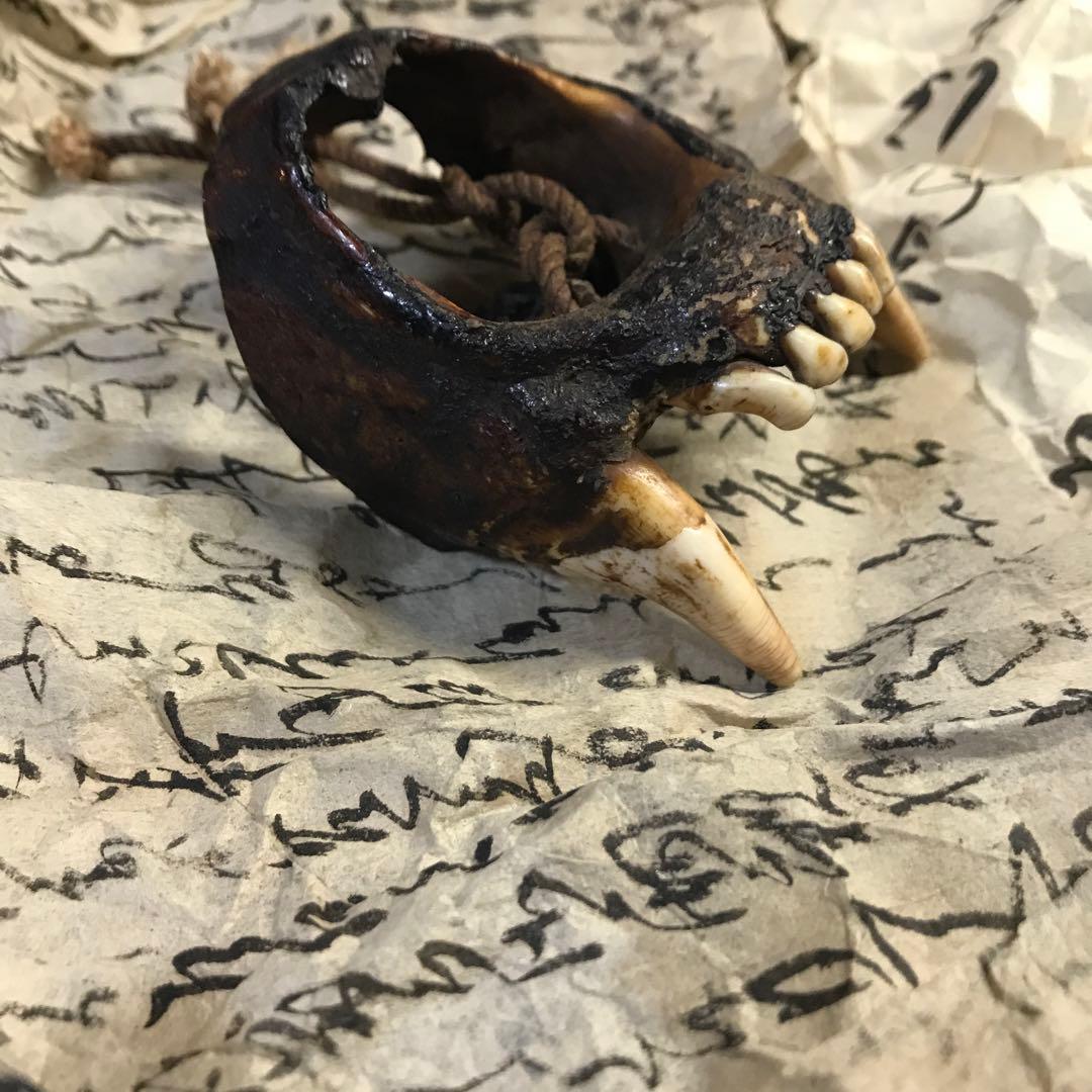 獣牙　根付　呪物　ニホンオオカミ　熊