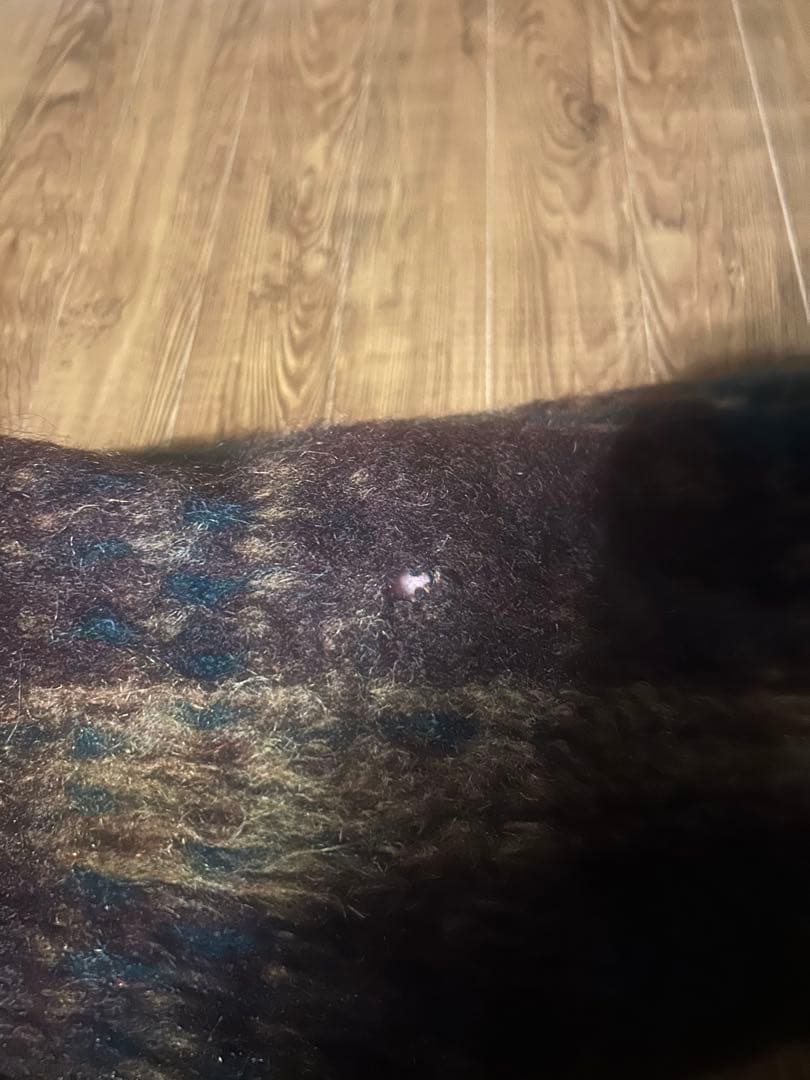 Campus 60sウールモヘア カーディガン