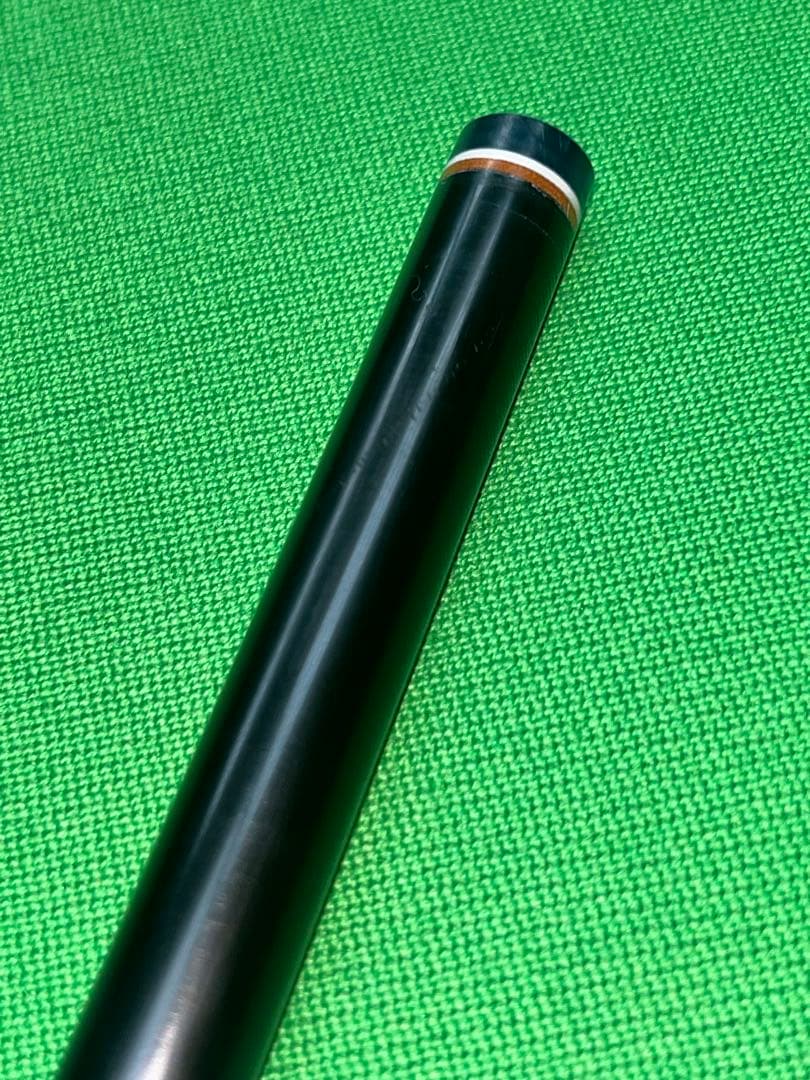 コモドドラゴン様