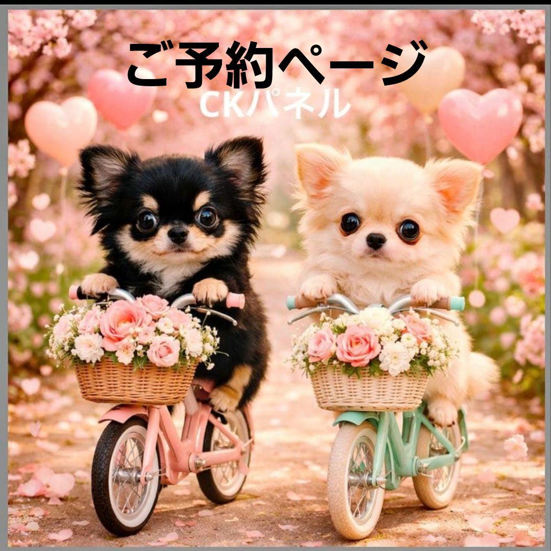 激レアサイクリングチワワ、ポメラニアン、柴犬、マルチーズ、パグ、トイプーパネル