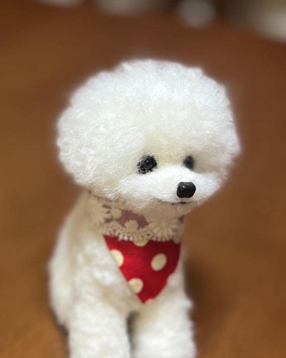 羊毛フェルト　ビジョンフリーゼ