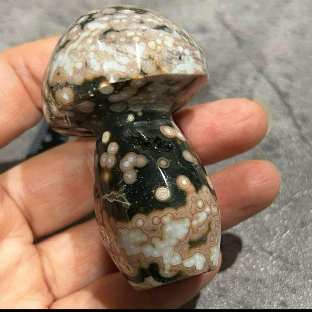 ぴぃ⭐︎天然石　フローライト貝殻&8thオーシャンジャスパー