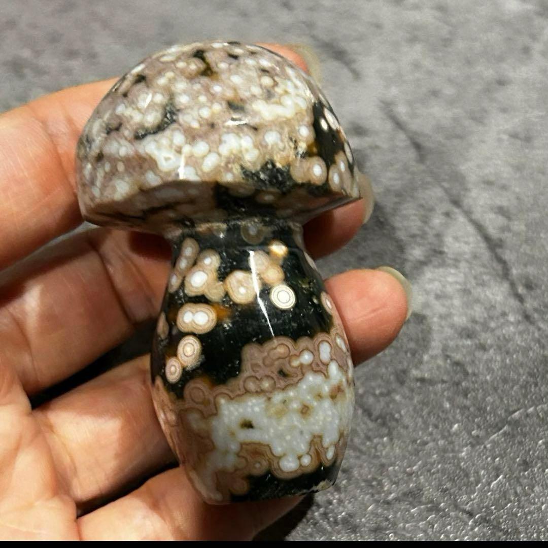 ぴぃ⭐︎天然石　フローライト貝殻&8thオーシャンジャスパー