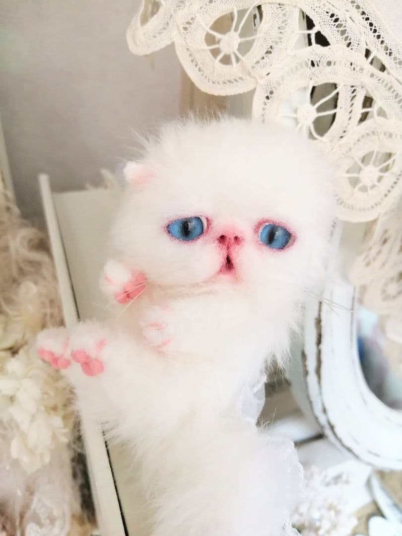 ミニミニ子猫ちゃん♡アートドール♡ぬいぐるみ♡エキゾチック♡ふわふわ♡