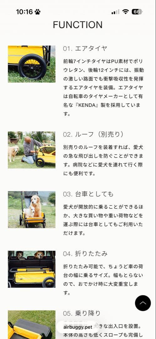 エアバギー・青いペットカート