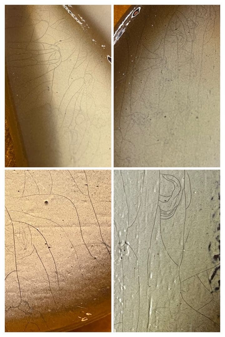 ベース DeliciousTaylormade ANTIGUA Bird JM