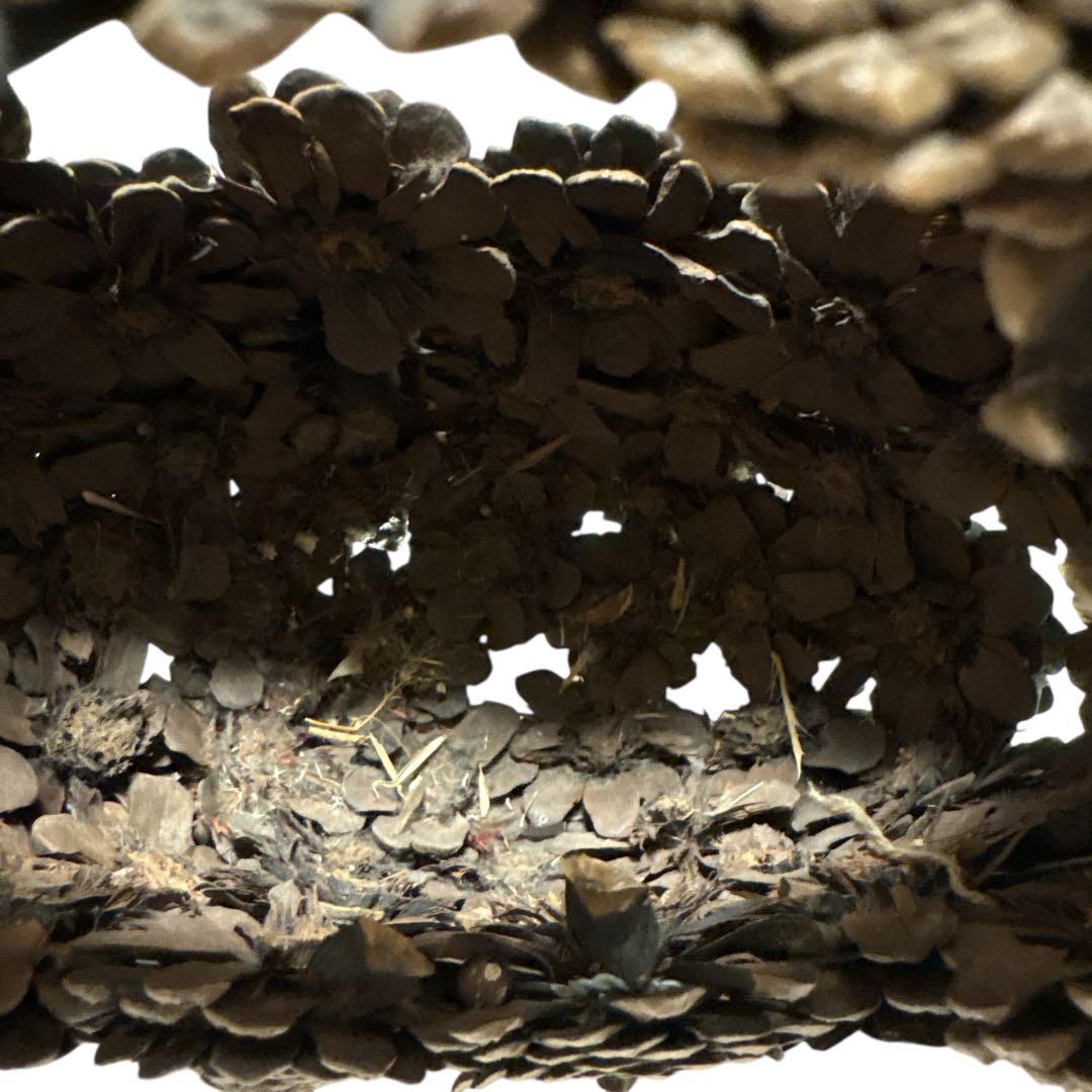 松笠細工 シダーローズ 花籠 取っ手付き 木の実クラフト バスケット オブジェ