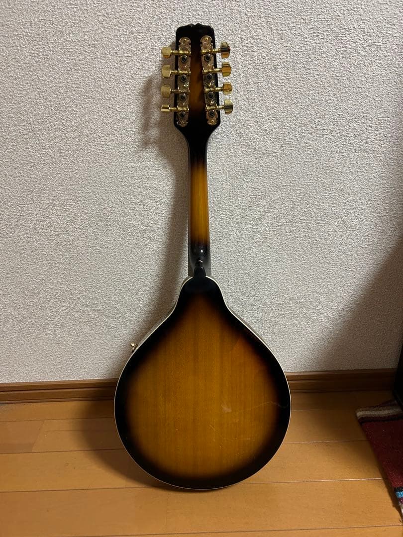 【Epiphone MM-30S マンドリン】ピックアップ搭載！