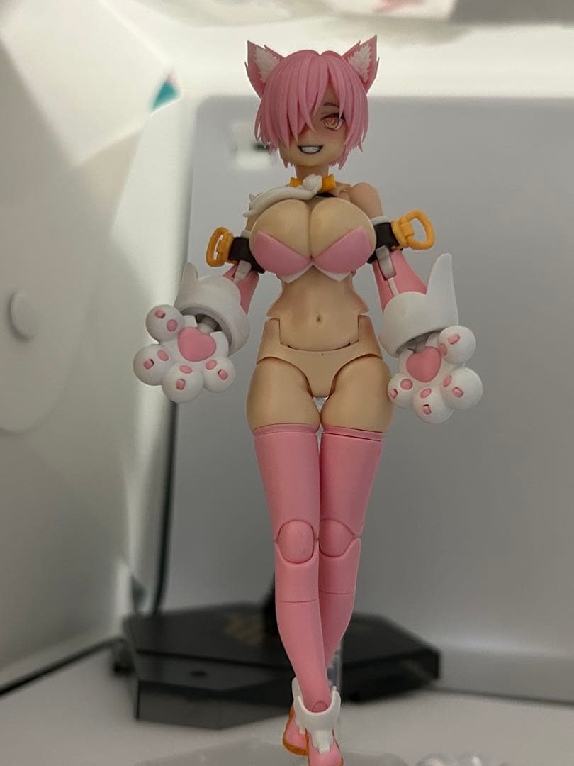 メガミデバイス　puni☆mofu プニモフ　マオ　ジャンク　muscuto