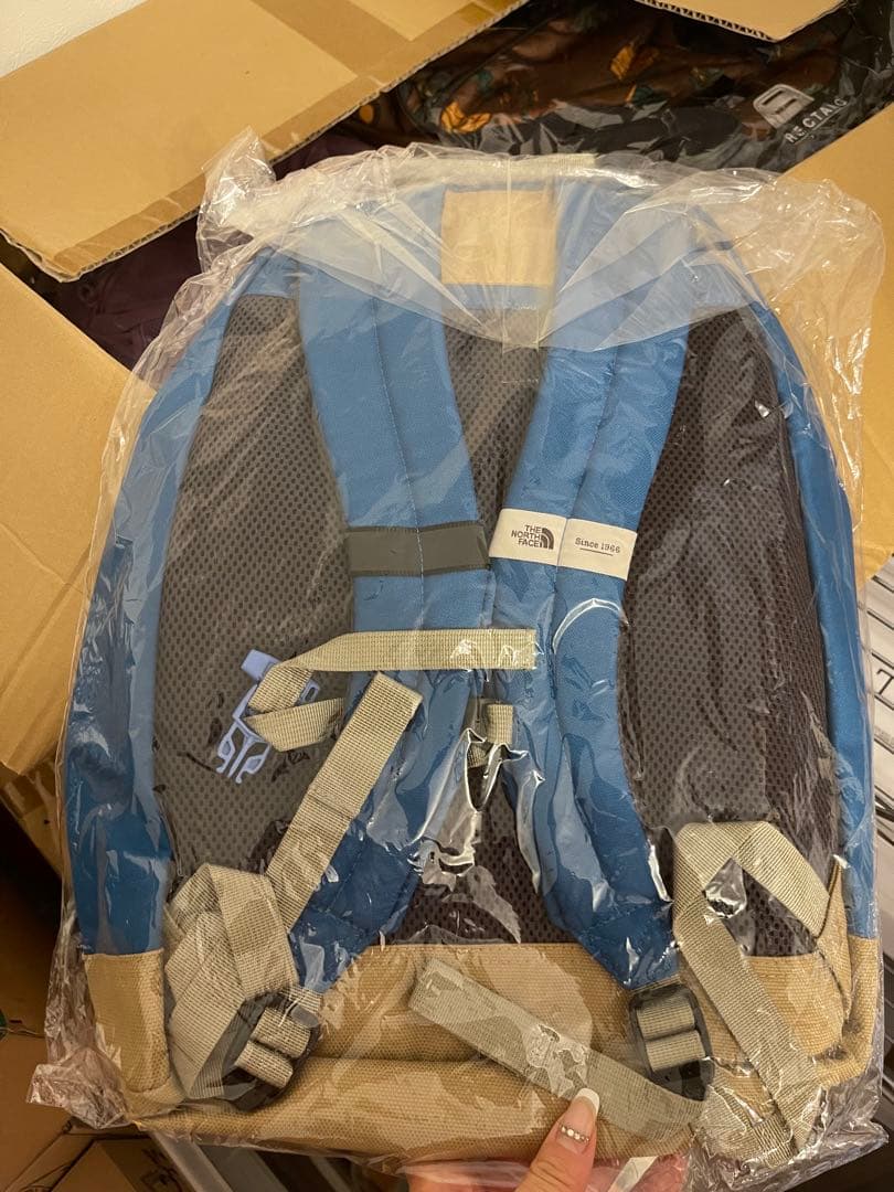 ノースフェイスリュックサック19L キッズ　バンフブルー NMJ71751 新品