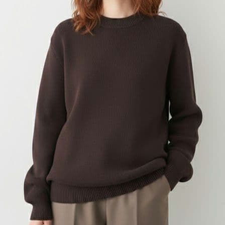 ゴールデングース【未使用級】バックロゴ クルーネック ニット　定価8.9万