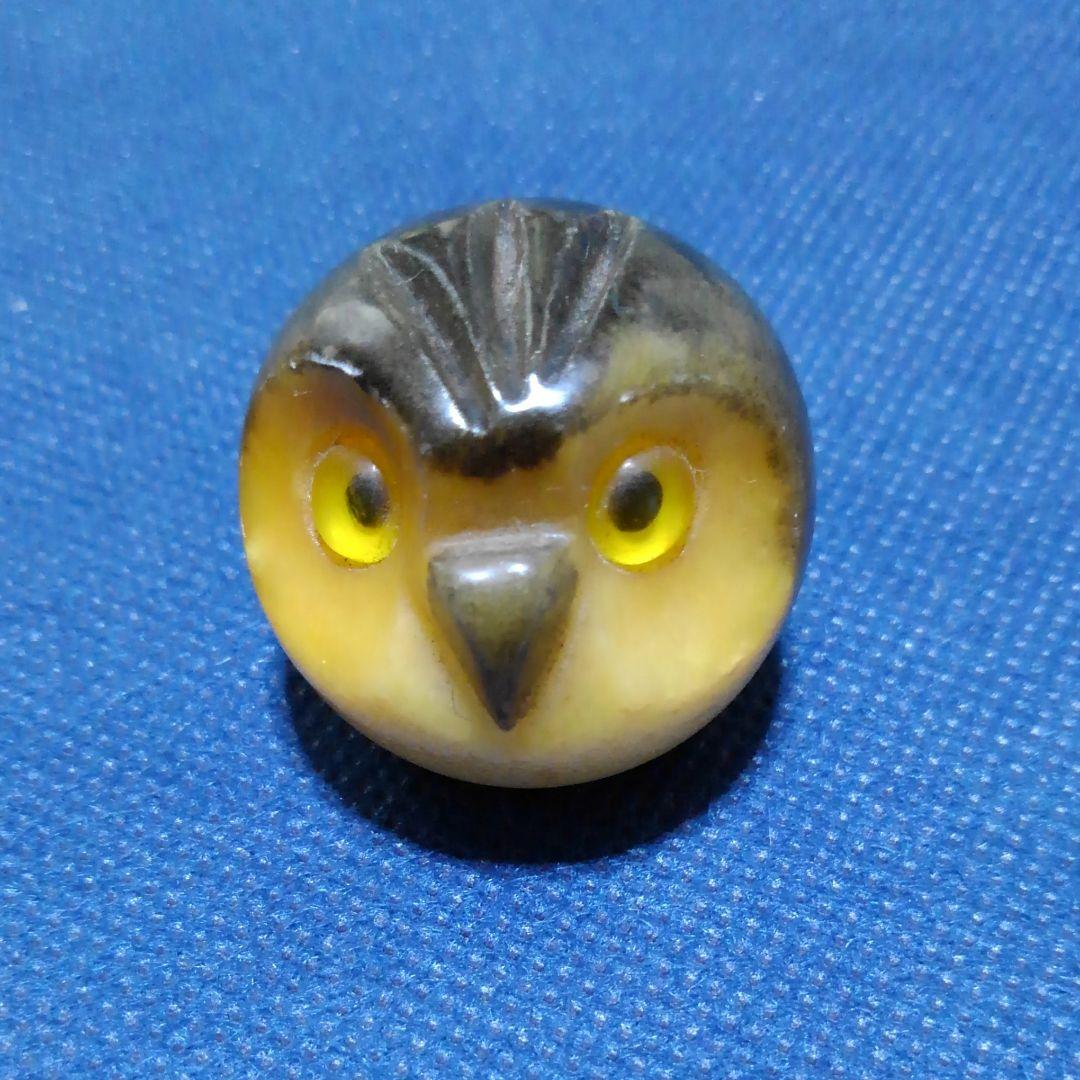♥️♥️珍しい！小さなフクロウ③