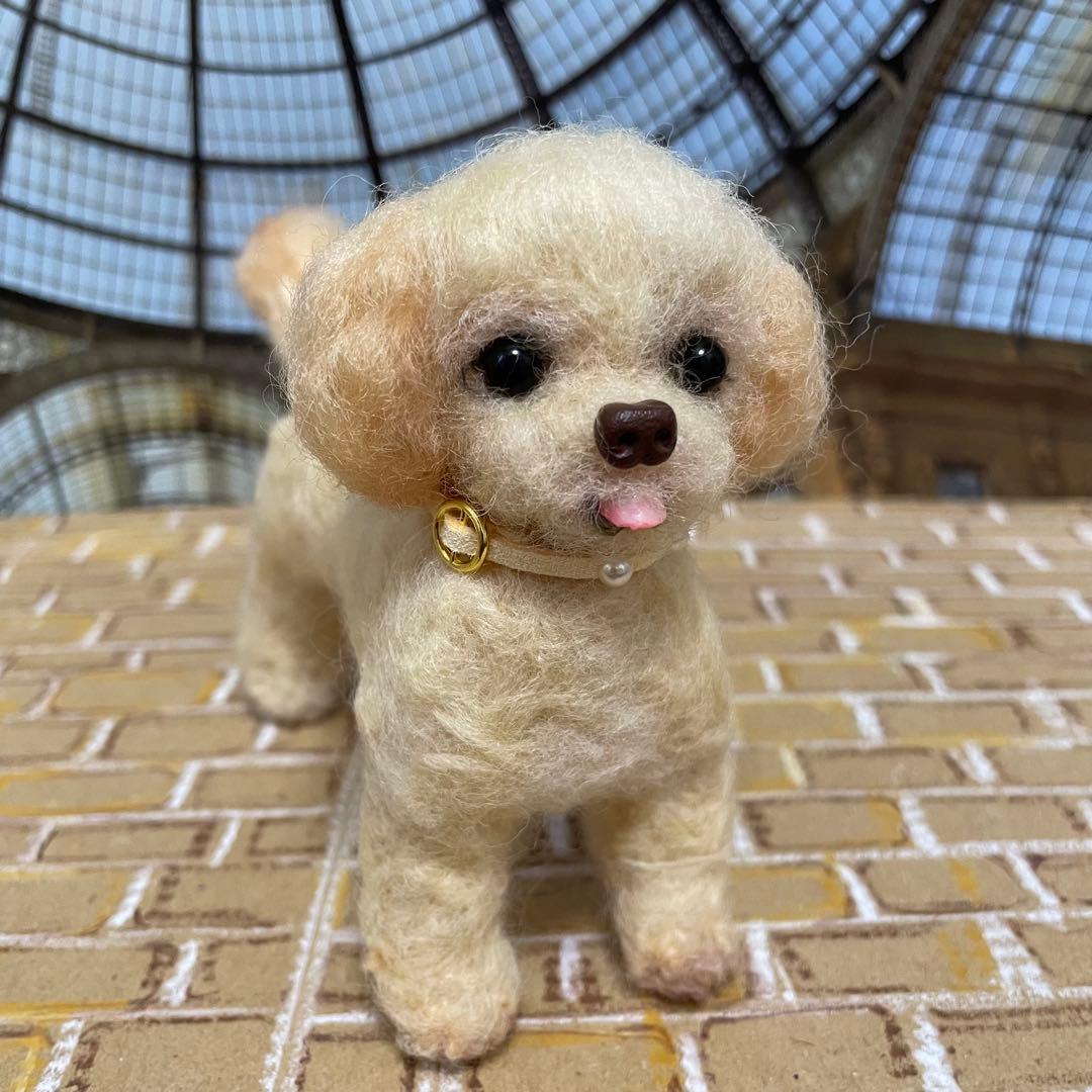 547♥︎マルプー犬の羊毛フェルト❣️