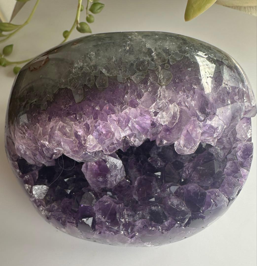 アメジスト がま口ドーム