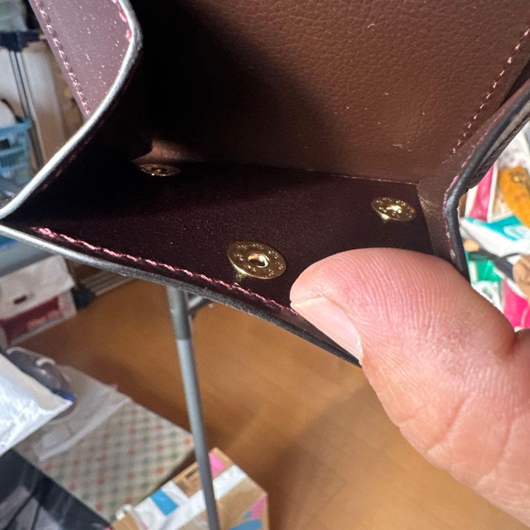 ワイルドスワンズカーサ