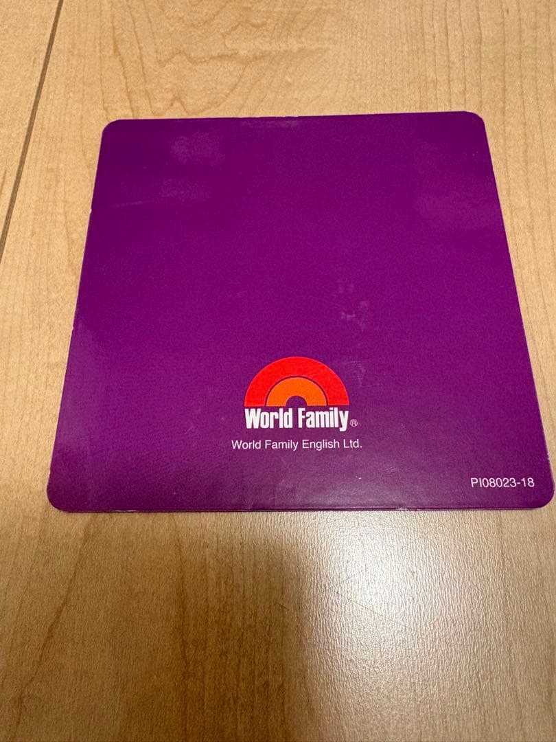 【2019年10月正規購入】　DWE ライトライトペン