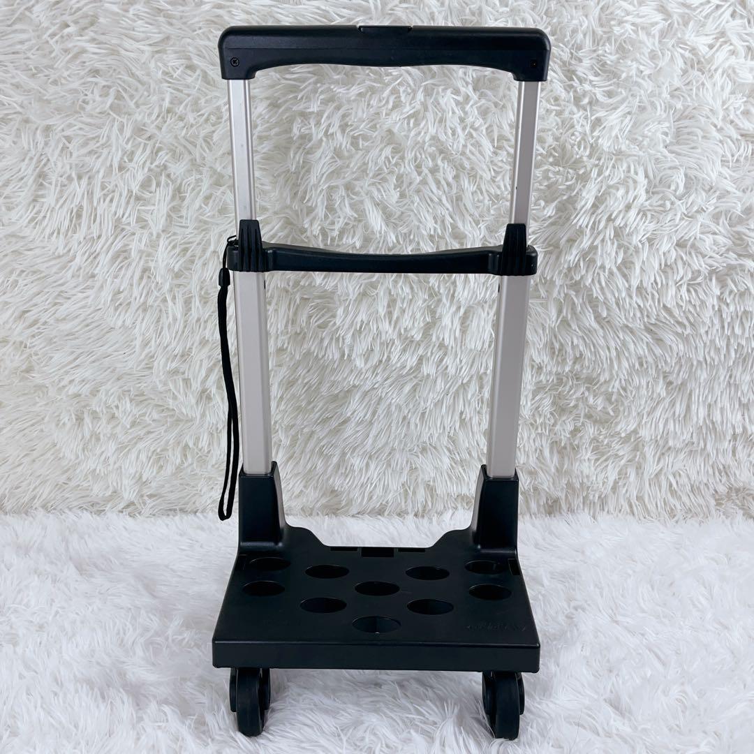 激レア 希少 未使用級 SWANY ピーターラビット コラボ キャリー バッグ