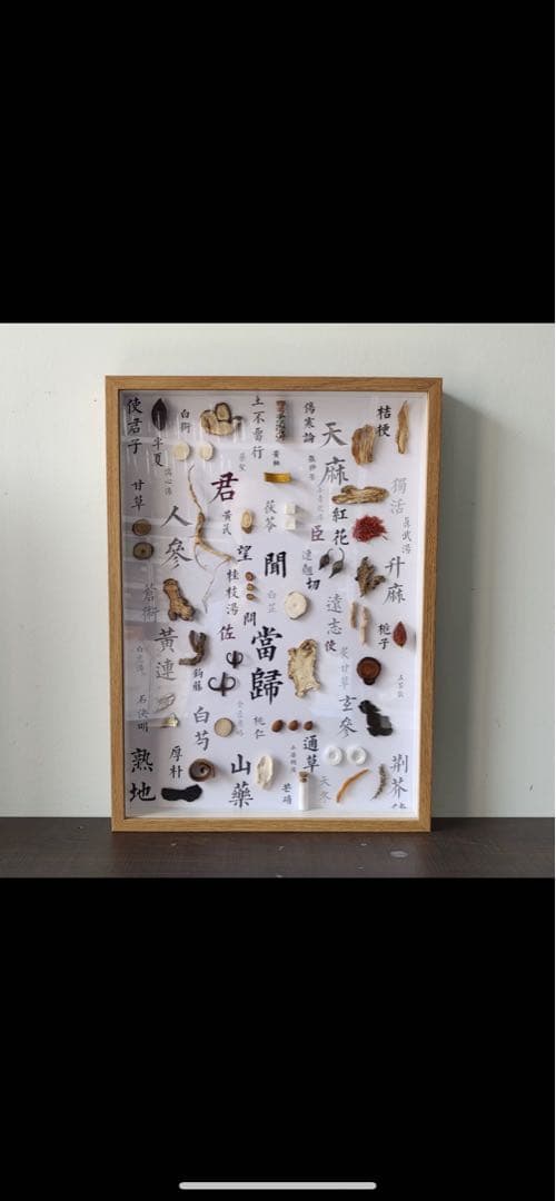 漢方標本フレーム