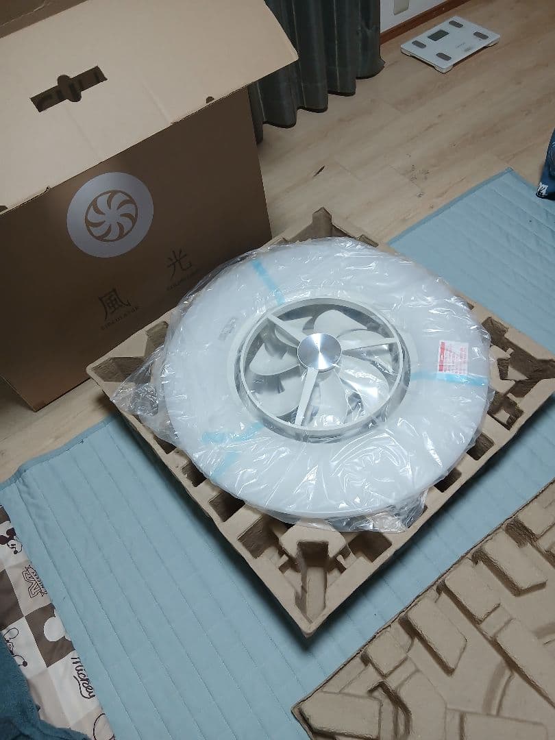 サーキュライト スイングモデル