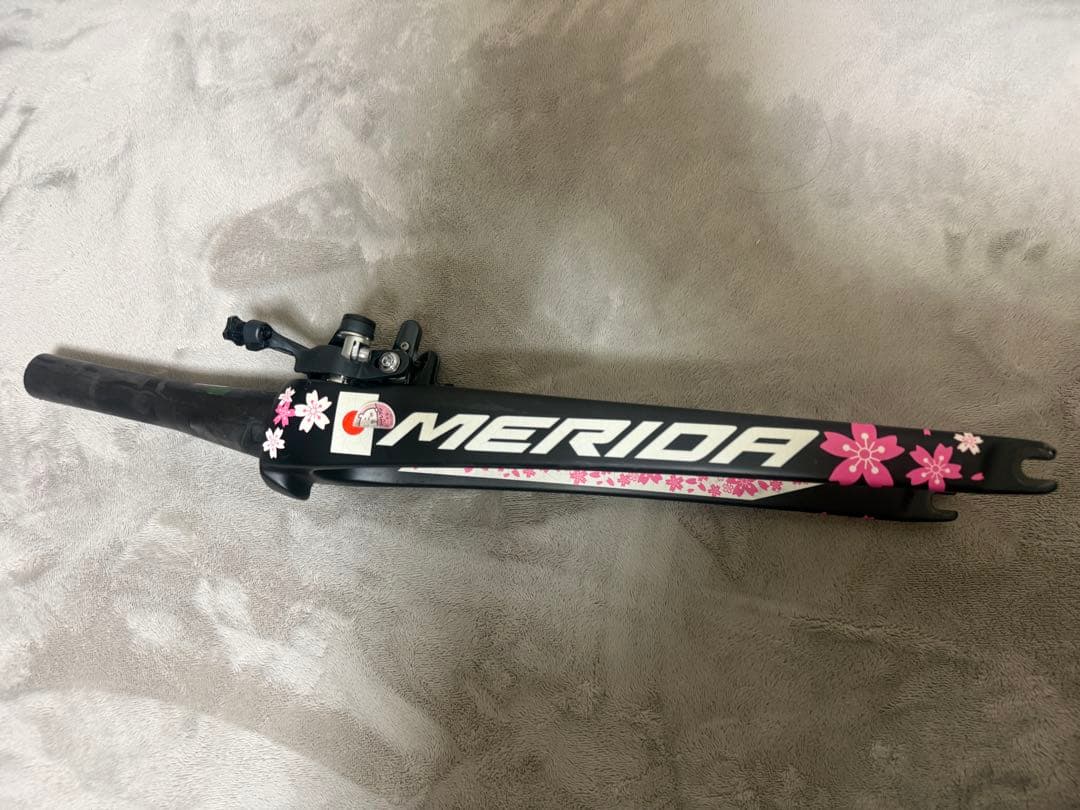 桜リアクトsサイズフレームセット