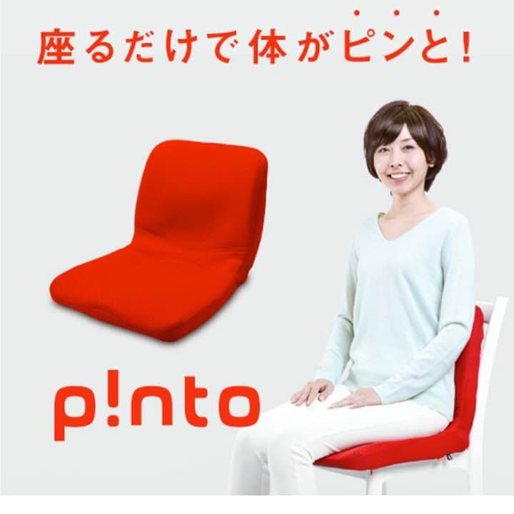 p!nto 全12色 正しい姿勢の習慣用座布団 クッション（pinto）ピント