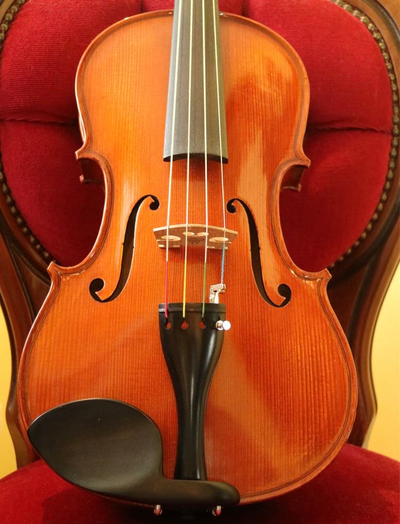 【みみちゃん】ビオラ 15.5 Gliga Gems Anno 2022