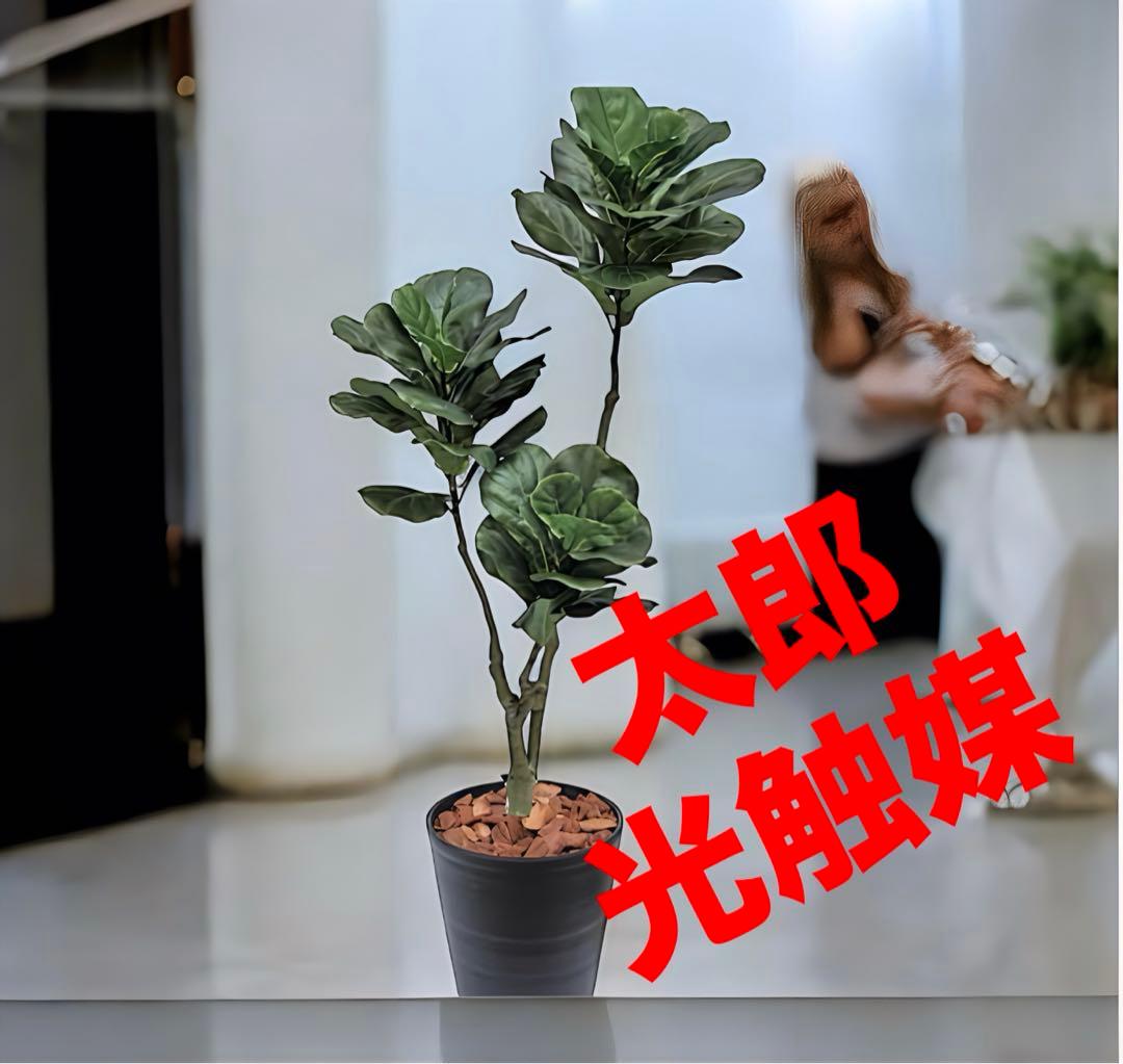 光触媒　人工観葉植物　ウォールグリーン　フェイクグリーン　カシワバゴム145@g