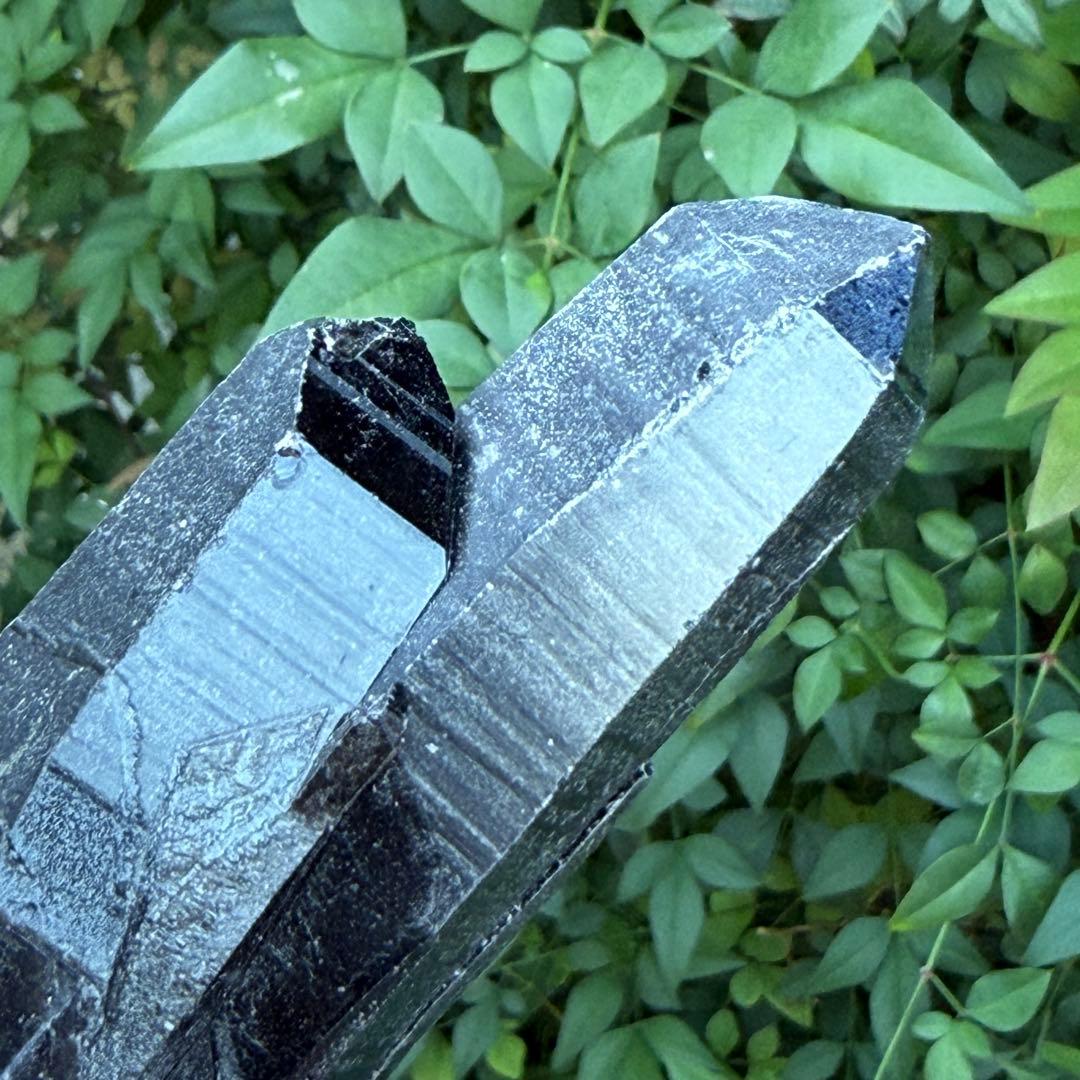 ムーミン 値下げ モリオン 黒水晶 天然無処理 原石 MY977