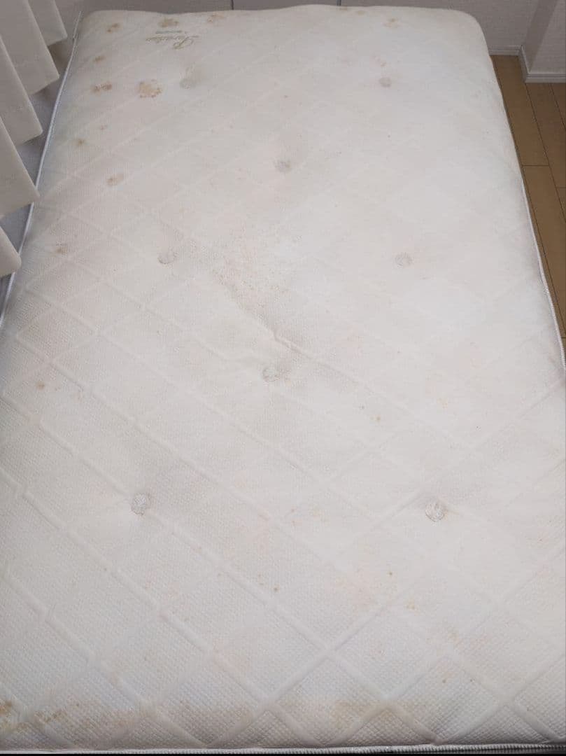 セミダブル スプリングマットレスのみ Paradiso by KINGSDOWN