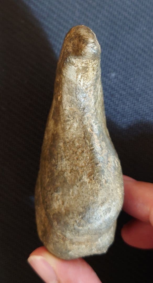 獣脚類　恐竜　ハンドクロウ　化石