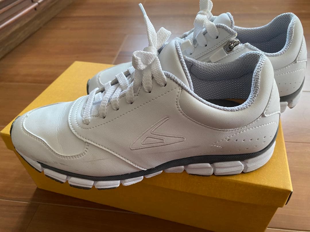 ベネシュ機能性健康靴