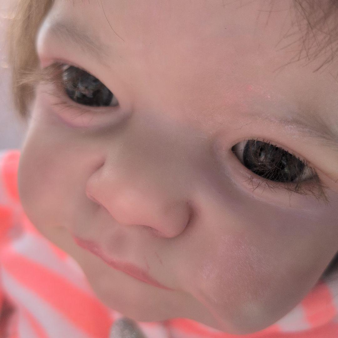 リボーンドール　トドラー　証明書付き