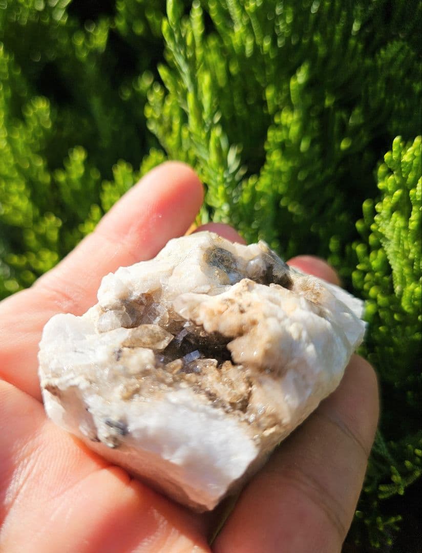 龍穴あり‼️アメリカ産 スモーキークォーツ ミニクラスター水晶