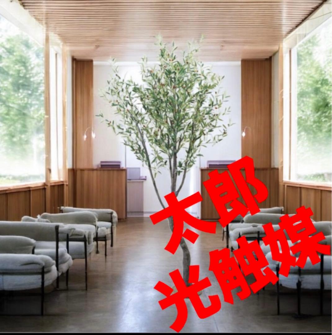 光触媒　人工観葉植物　ウォールグリーン　フェイクグリーン　オリーブ290センチ