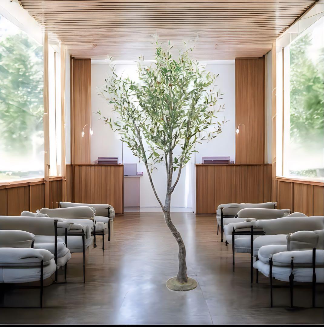 光触媒　人工観葉植物　ウォールグリーン　フェイクグリーン　オリーブ290センチ