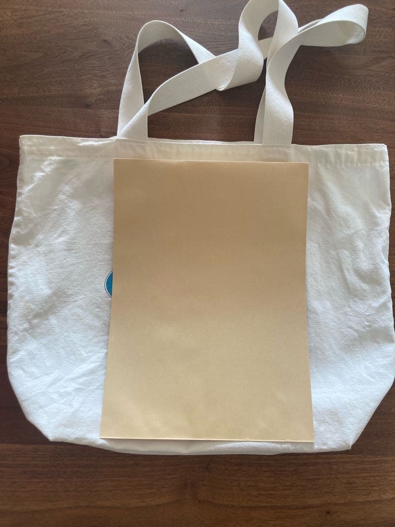 patagonia オーガニックコットン トートバッグ オーバルロゴ 90年代