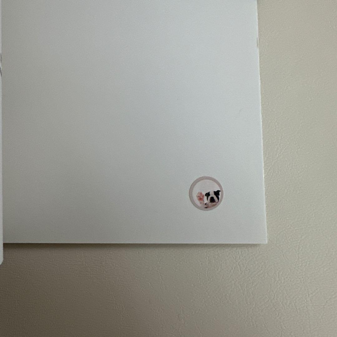 健康・医学 MCQs in Regional Anaesthesia and Pain Th