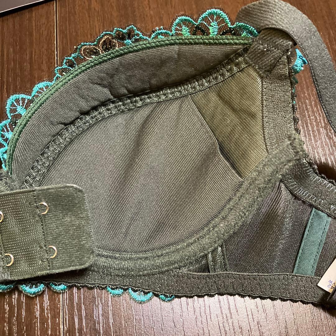 ワコール　サルート42g D65