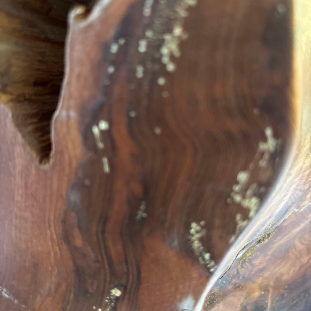 屋久杉輪切り　衝立