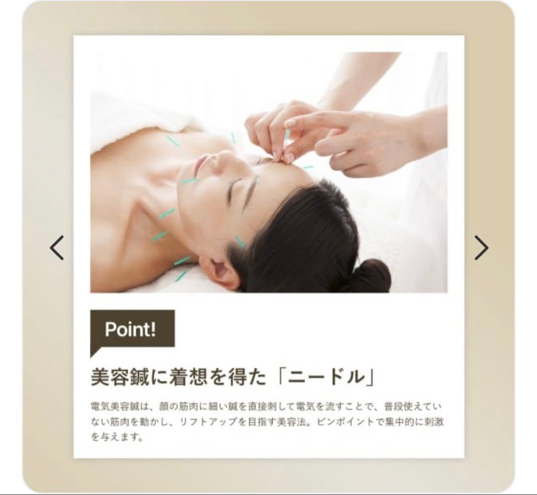 YAMAN WAVY ニードルリフトポインター