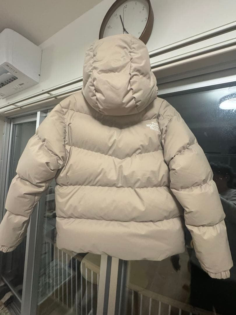 THENORTHFACE FREE MOVE DOWN JACKET 韓国限定