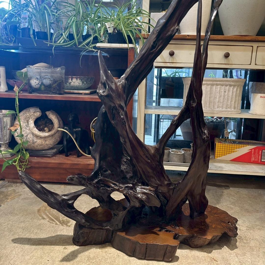 【大特価】 観賞用 流木 オブジェ 置物 爬虫類飼育 アクアリウム 古木材アート