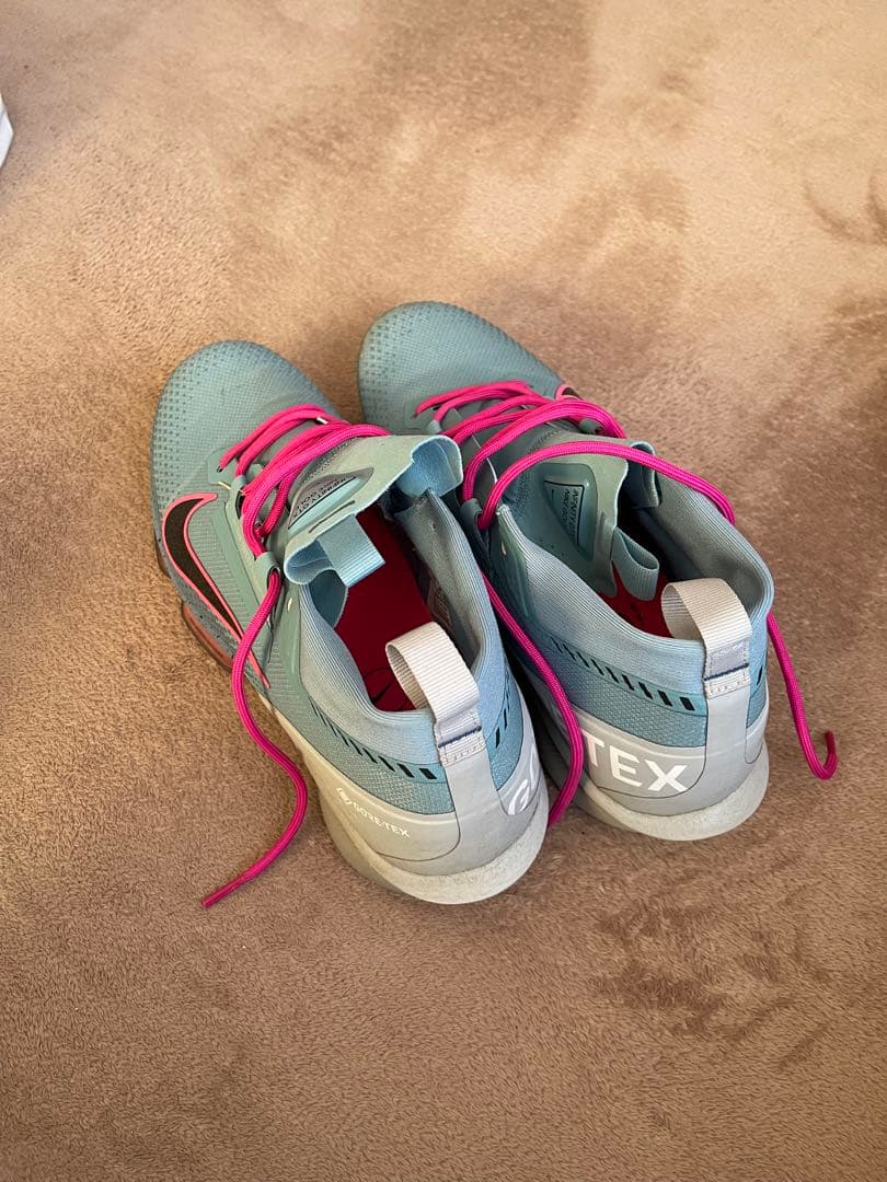 Nike Infinity GTX ゴルフシューズ　29cm