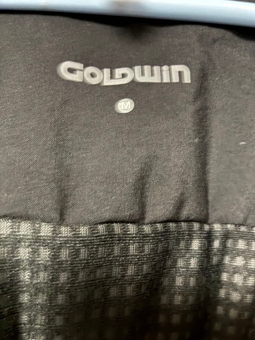 レア【GOLDWIN】M スキー、スノボ　スウェーデン ウェア セット AUDI