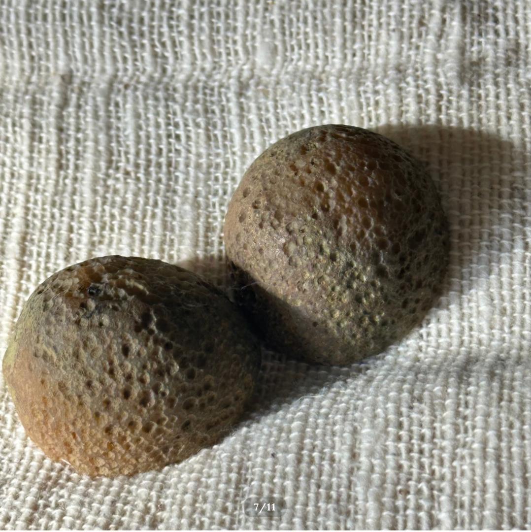 【トレジャー アゲート】ペア ジオード アイバンド 瑪瑙 原石 ポリッシュ